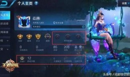 王者芳薇爆料了吗最新消息,神秘事件即将揭晓！