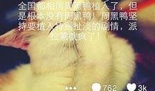 微博最新爆料周黑鸭视频,揭秘食品加工内幕，网友热议食品安全问题