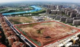 衡阳最新爆料,揭秘背后惊人真相！