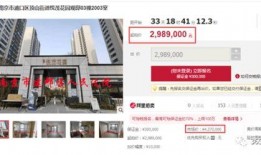 zsp市场价最新爆料,行情波动背后的秘密解析