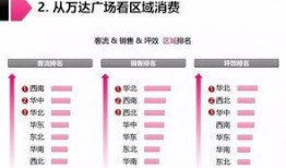 万达最新数据爆料,业绩增长背后的秘密与挑战